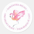 Search for flaming bird Pink flamingo