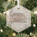 Search for sea glass christmas tree decorations Sand