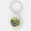 Search for bear family key rings Nature