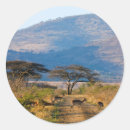 Search for impala stickers Animal