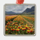 Search for field christmas tree decorations Orange