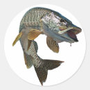Search for musky stickers Fishing