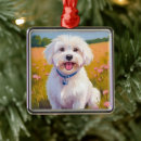 Search for maltese christmas tree decorations Puppy