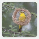Search for weaver stickers Female