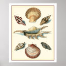 Search for fancy art posters Sea