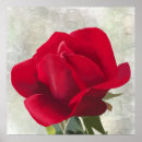 Search for a red posters Beauty