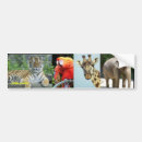 Search for jungle bumper stickers Wild