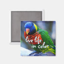 Search for greens magnets Photography