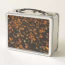 Search for photography lunch boxes Leaves