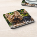 Search for yorkshire coasters Dog