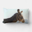 Search for donkey cushions Party