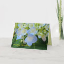 Search for hydrangeas birthday cards Pretty