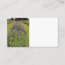 Search for flower farm business cards Lavender