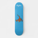 Search for koala skateboards Kangaroo