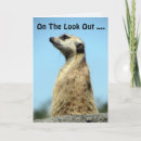 Search for meerkat birthday cards Nature