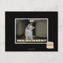 Search for wanna postcards I can has cheezburger