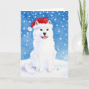 Search for samoyed dog postcards Sled