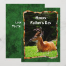 Search for buck deer cards Nature