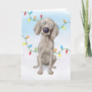 Search for weimaraner christmas cards Grey