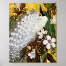 Search for white peacock posters Nature