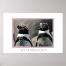 Search for wildlife fine posters Photography