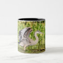Search for great blue heron mugs Waterfowl