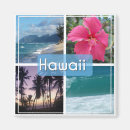 Search for hawaii magnets Oahu