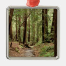 Search for creek christmas tree decorations California