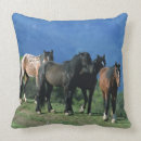 Search for mustang cushions Equestrian