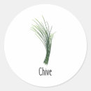 Search for herbs and spices stickers Chives