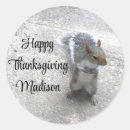 Search for cute squirrel stickers Sweet