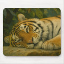Search for bengal tiger mousepads Wildlife