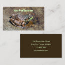 Search for frog business cards Animals