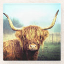 Search for highland cow coasters Nature