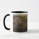 Search for guyana mugs River