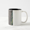 Search for pileated woodpecker mugs Nature