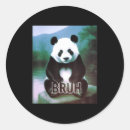 Search for funny retro stickers Pets