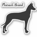 Search for pharaoh hound Dog