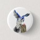 Search for blue jay badges Animals