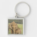 Search for asian elephant key rings Corbett