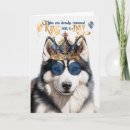 Search for siberian husky dog birthday cards Dogs
