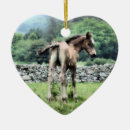 Search for paint horse christmas tree decorations Ponies