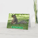 Search for about photo cards Photography