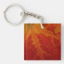Search for autumn leaf key rings Photography