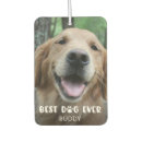 Search for dog car air fresheners Cute