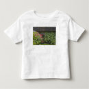 Search for limerick tshirts Village