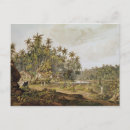 Search for ceylon postcards Landscape