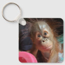 Search for orangutan key rings Baby animals