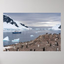 Search for beside posters Nature