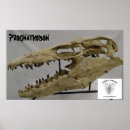 Search for dinosaur fossil posters Skull